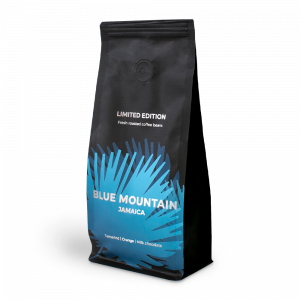 Blue_Mointain