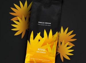 Kivu