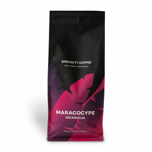 Maragogype