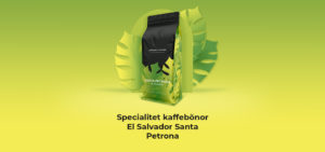 El Salvador Santa Petrona